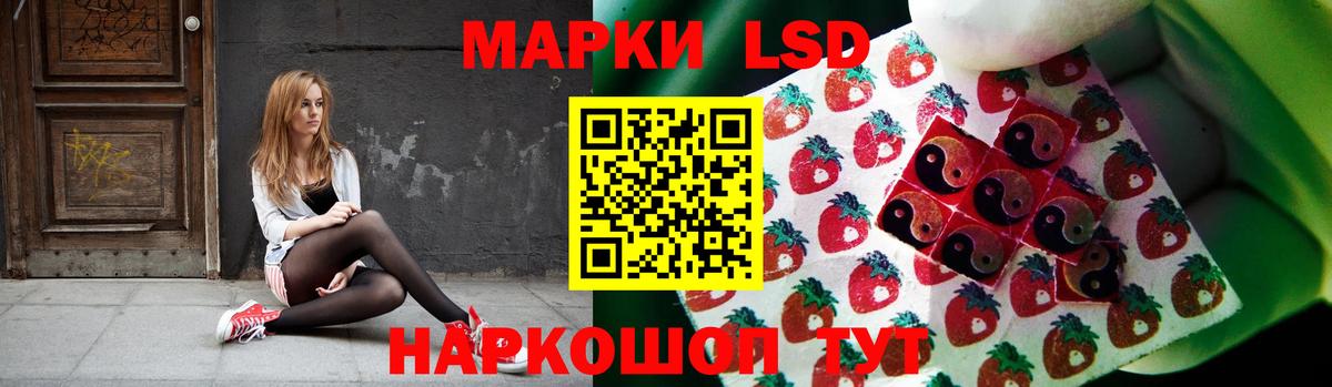 Электрогорск  мега рабочий сайт  ЛСД экстази ecstasy  Вход с VPN  ЛСД экстази кислота 