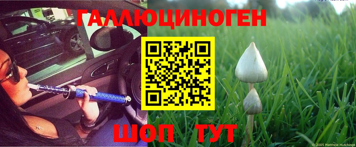 Галлюциногенные грибы ЛСД Электрогорск